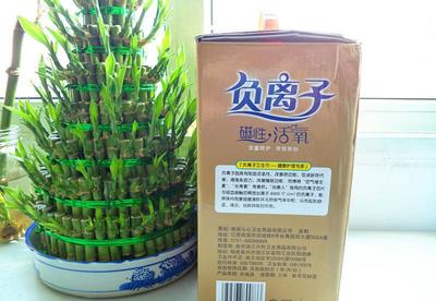 【廠家 沁美人負(fù)離子衛(wèi)生巾 超吸收 防側(cè)漏 禮盒12包 衛(wèi)生巾】?jī)r(jià)格_廠家_圖片 -