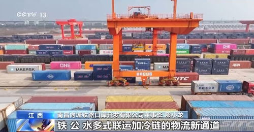 央視報(bào)道 冷鏈儲(chǔ)運(yùn) 熱 了 班列 冷鏈 新業(yè)態(tài)拓展新市場(chǎng)